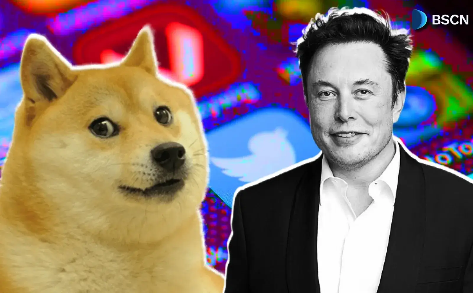 Elon Musk lại đăng tweet về DOGE: Tiếp theo sẽ là gì?
