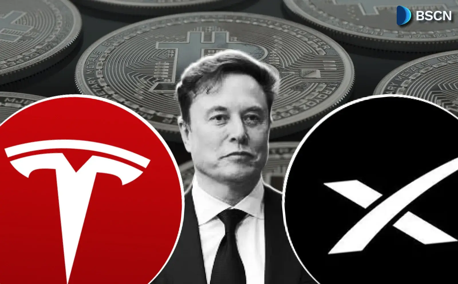 Tesla và SpaceX đang nắm giữ bao nhiêu Bitcoin?