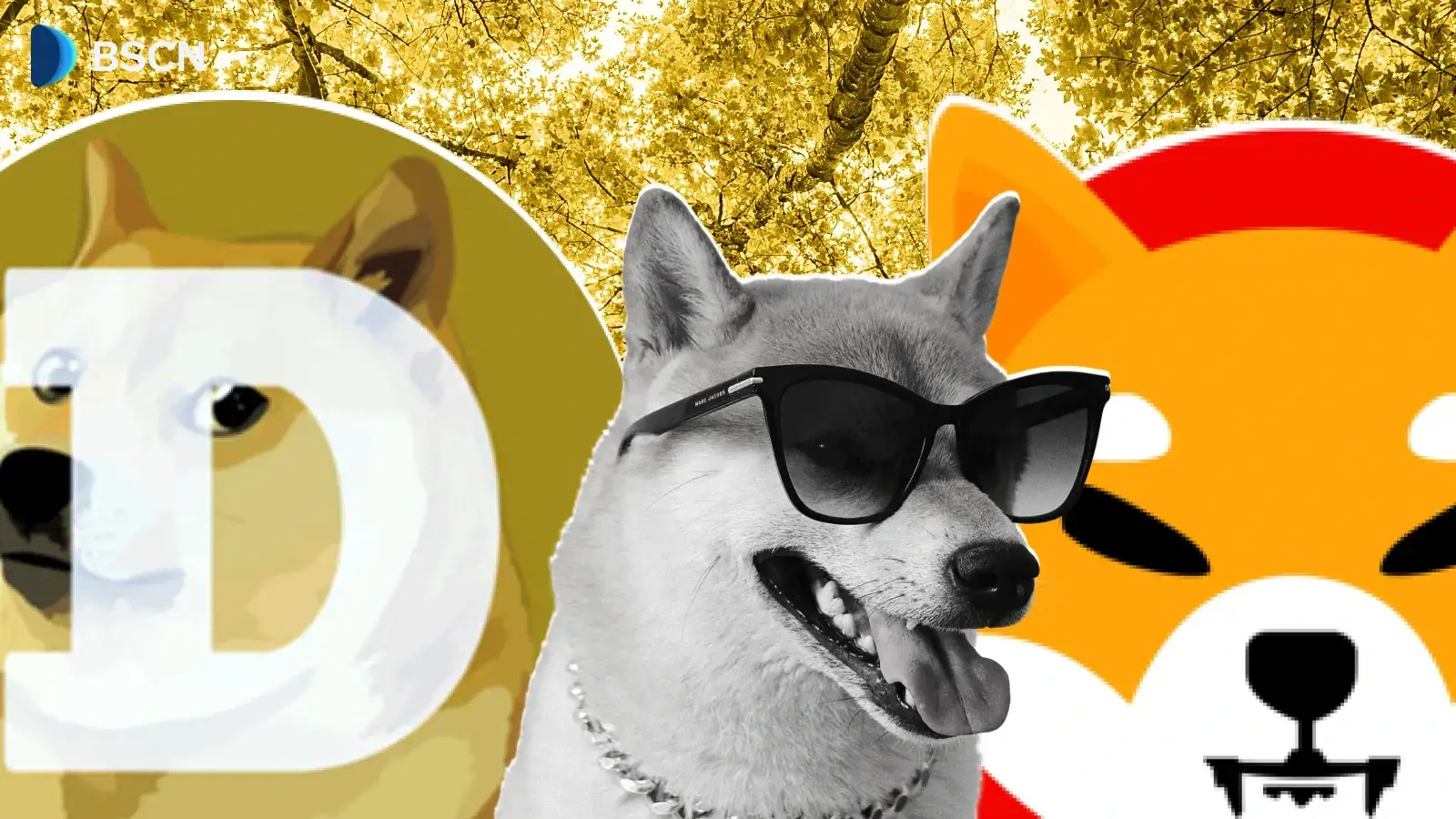 So sánh giữa Shiba Inu và Dogecoin: Một sự so sánh về mặt kỹ thuật và cộng đồng.
