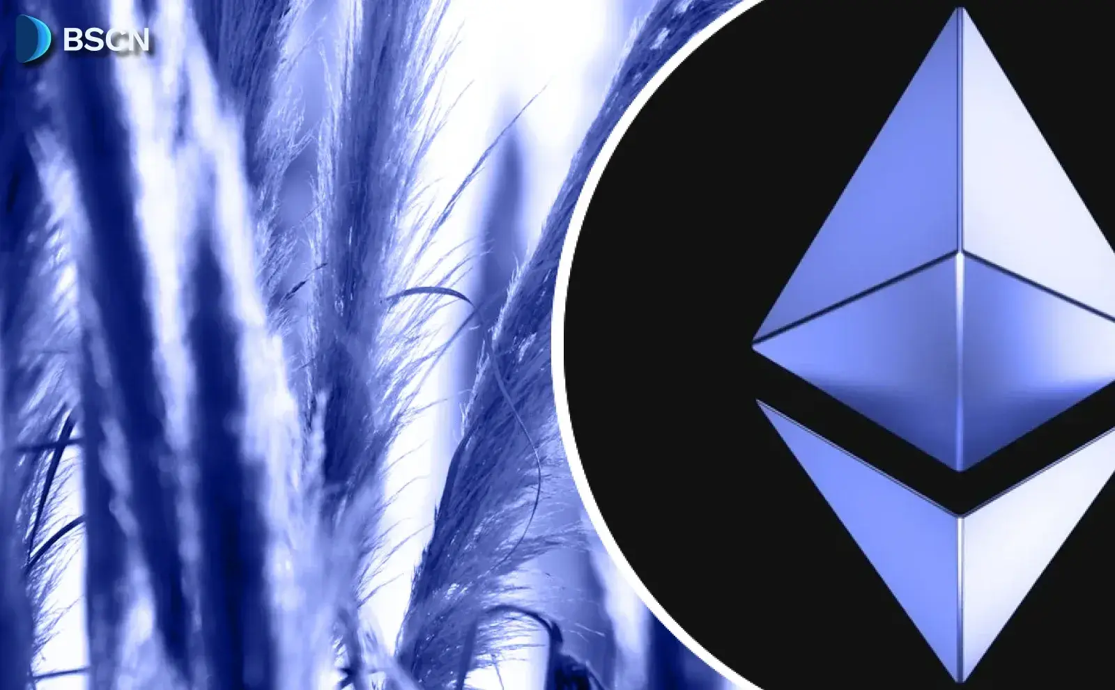 “Bản phác thảo sơ bộ” của Ethereum được Vitalik Buterin hậu thuẫn là gì?