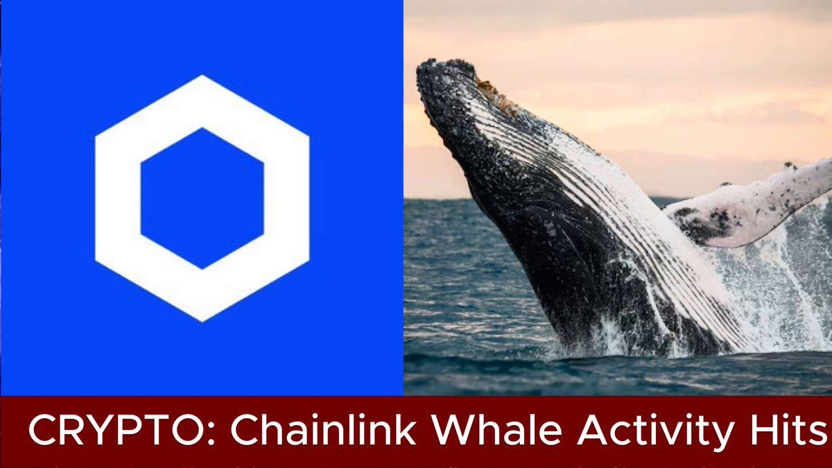 Hoạt động của cá voi Chainlink đạt mức cao nhất trong 5 tháng khi số dư tăng lên
