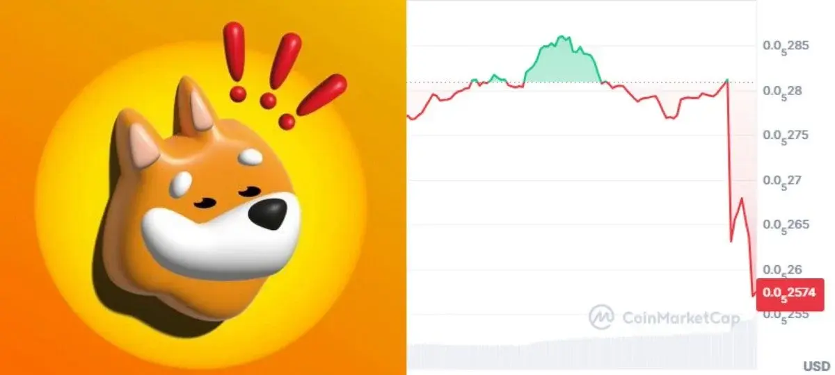 y có phải là đòn giáng lớn nhất vào $BONK không?