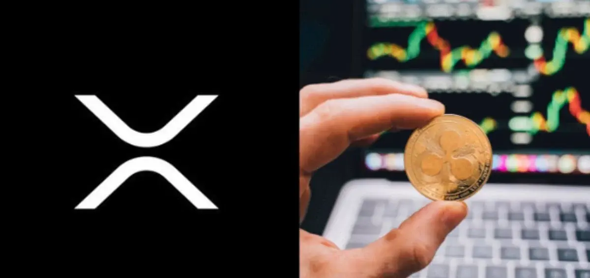 Khối lượng DEX hàng tuần của XRPL tăng 45% khi giao dịch hàng ngày đạt gần 3 triệu