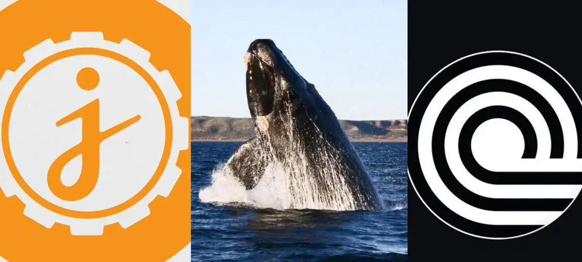 Jasmycoin và Ondo Finance chứng kiến sự gia tăng mạnh mẽ của các giao dịch từ "cá voi" (người chơi có vốn đầu tư lớn).