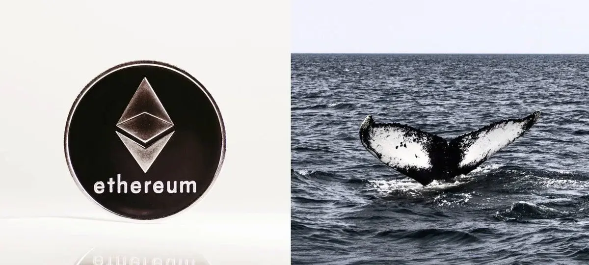 Cá voi bí ẩn đặt cược lớn vào sự sụt giảm của Ethereum