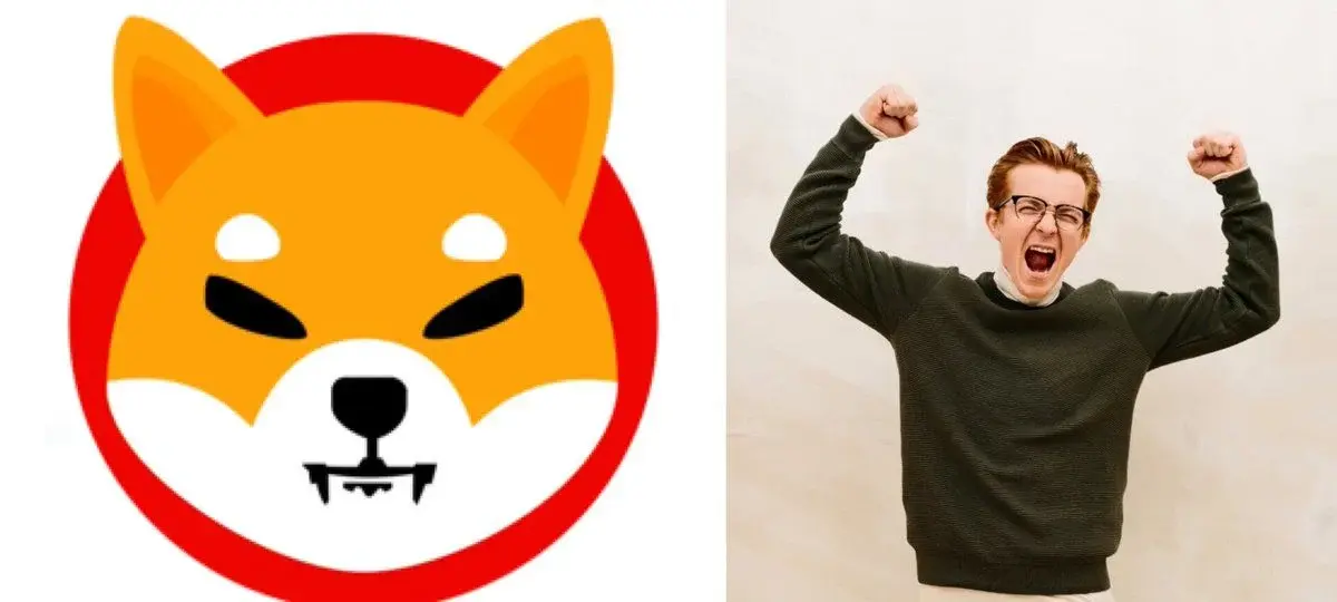 Shiba Inu giành lại top 30 tiền điện tử