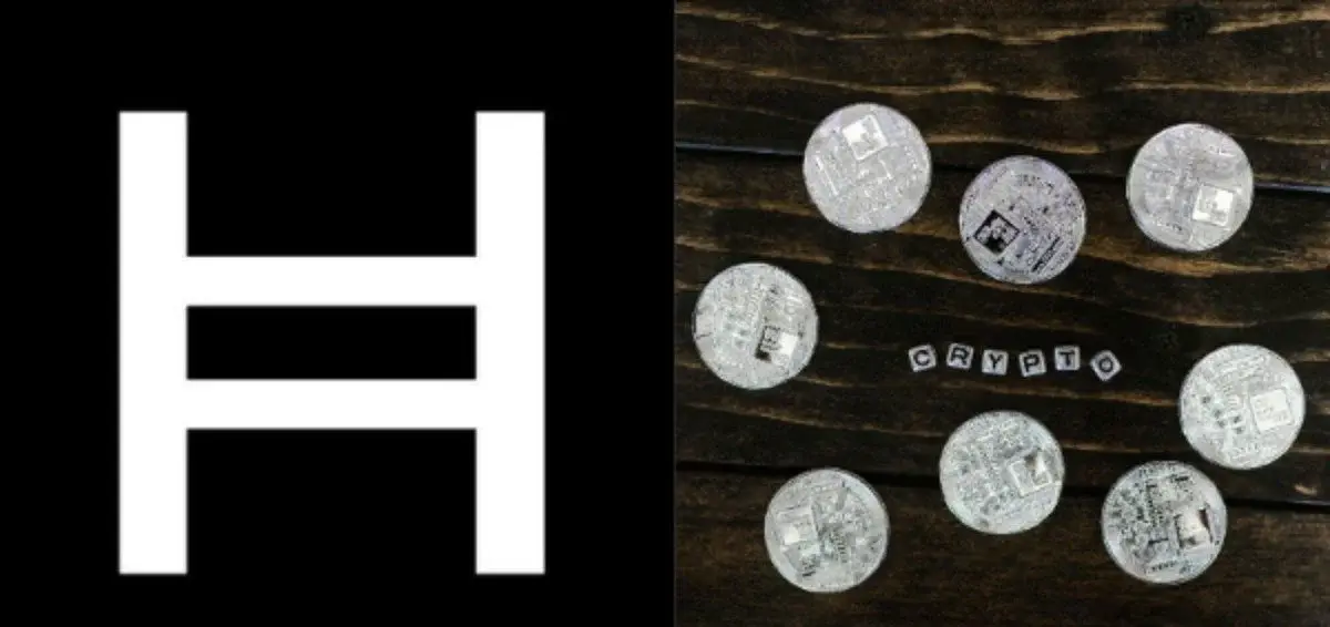 Trưởng bộ phận chính sách của Hedera cho biết quản trị quyết định liệu mã hóa token có mang lại hiệu quả hay không.