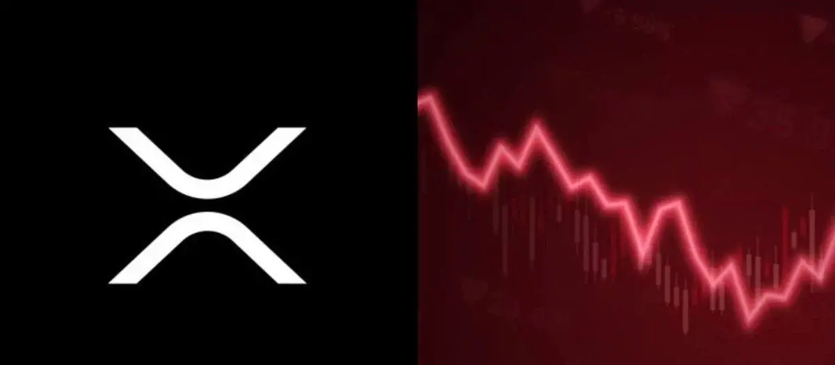y có phải là đỉnh cao của XRP không?