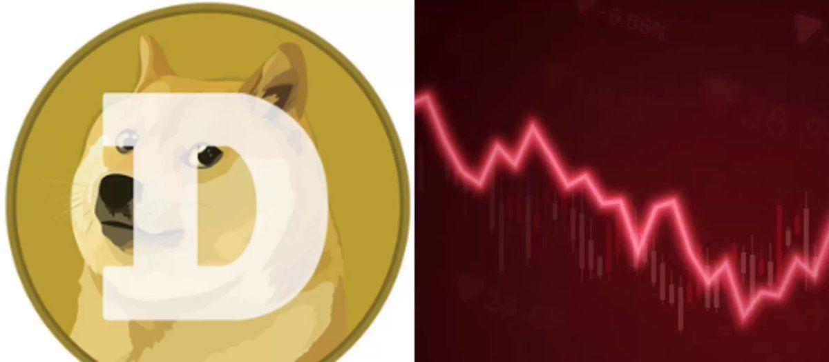 y có phải là kết thúc cho Doge?