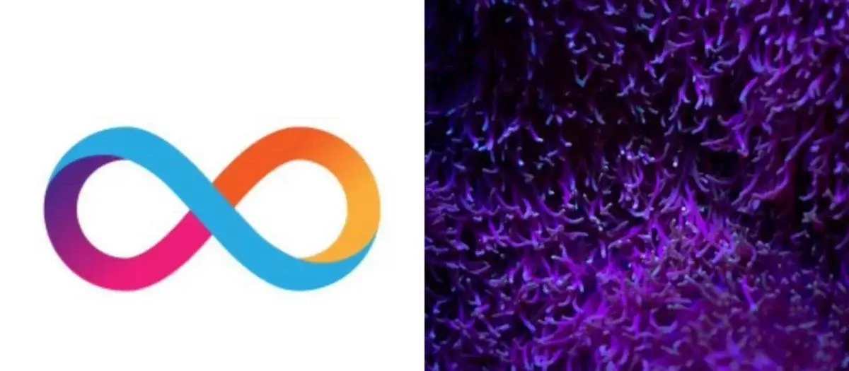 Máy tính Internet dẫn đầu các chuỗi khối được sử dụng nhiều nhất trong tháng 7