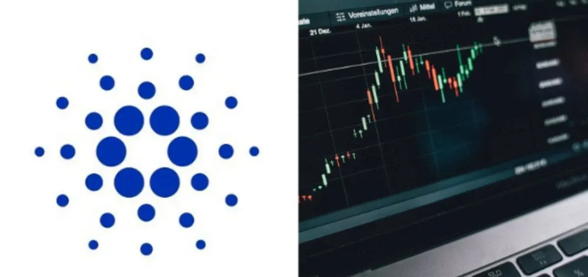 Cardano tăng lên mức cao nhất trong một tháng trong khi số lượng người nắm giữ tiếp tục giảm