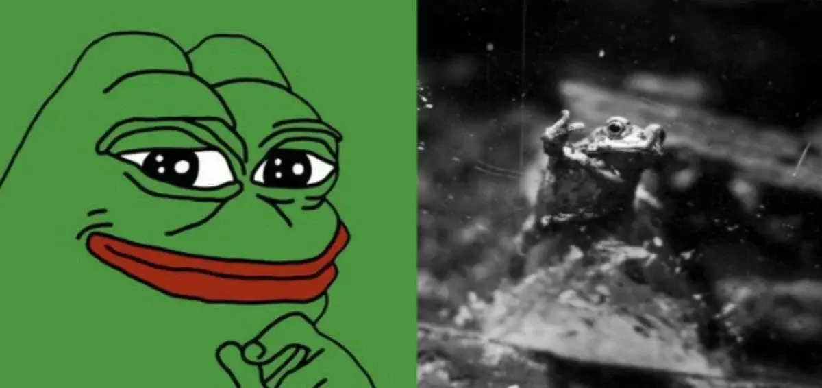 PEPE vừa chứng kiến cuộc di dời sàn giao dịch lớn nhất trong gần hai năm