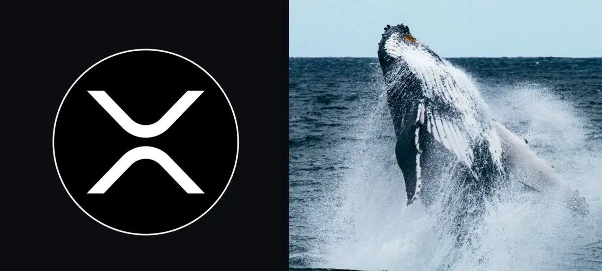 XRP Whale Holdings tăng vọt khi những người nắm giữ lớn nhắm đến mức kháng cự chính