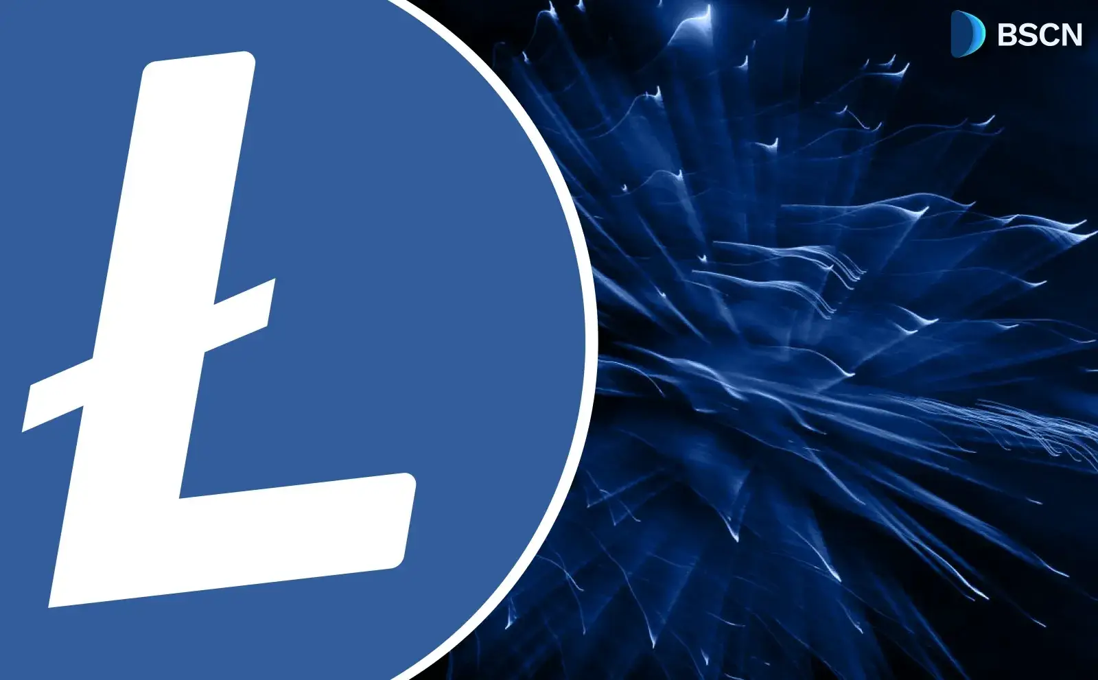 Cái nhìn sâu sắc: Tình trạng của Litecoin LTC vào năm 2026