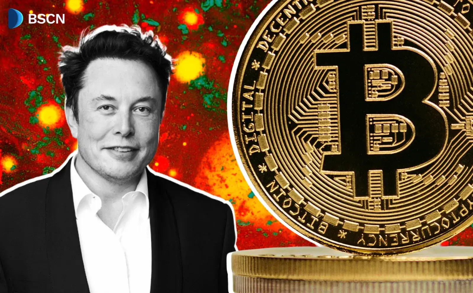 Elon Musk đang đăng bài lạc quan về Bitcoin phải không?