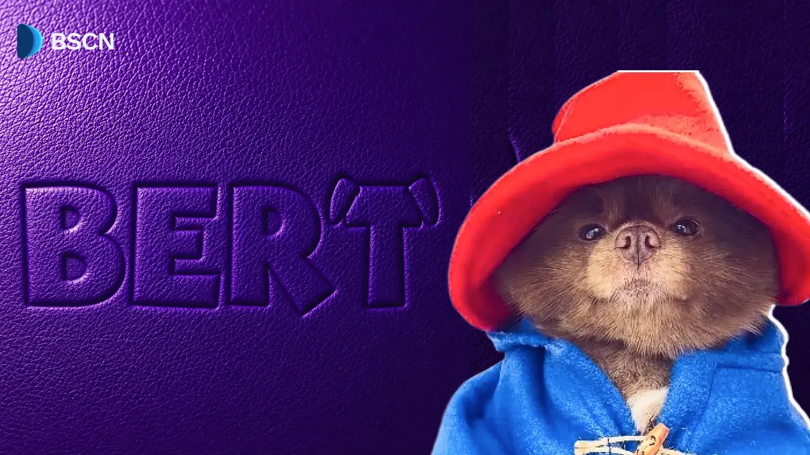 BERT Memecoin trên Solana là gì?