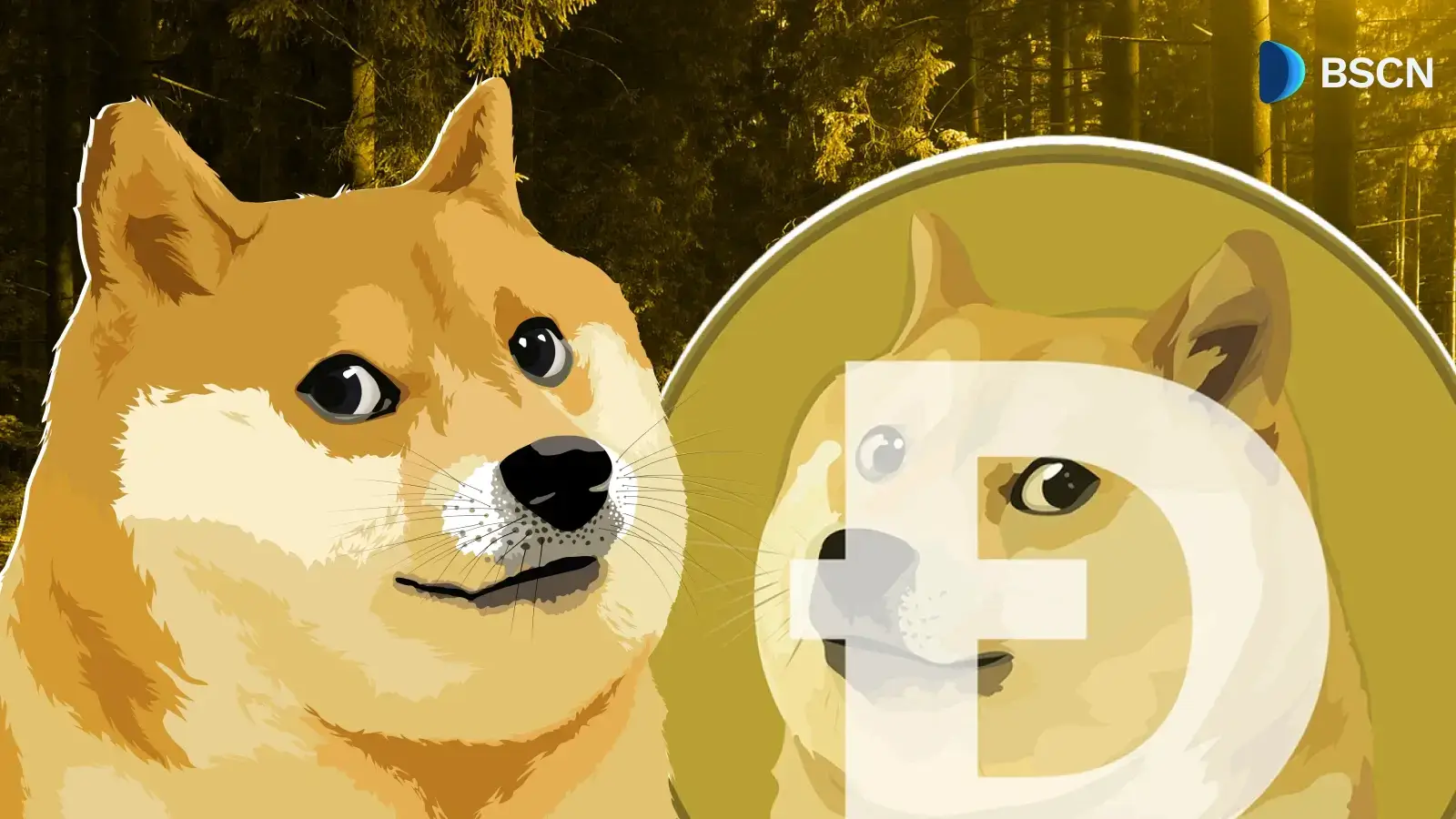 Lịch sử của Dogecoin: Từ trò đùa trên internet đến top 10 tiền điện tử