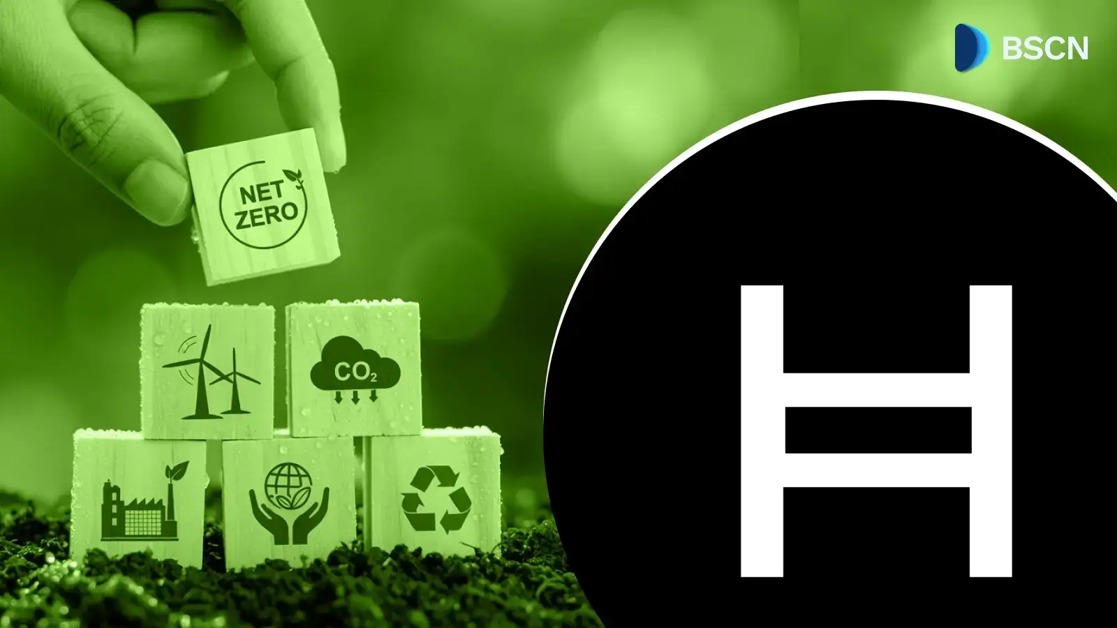 Hedera đang chuyển đổi tín dụng carbon và theo dõi chuỗi cung ứng như thế nào?