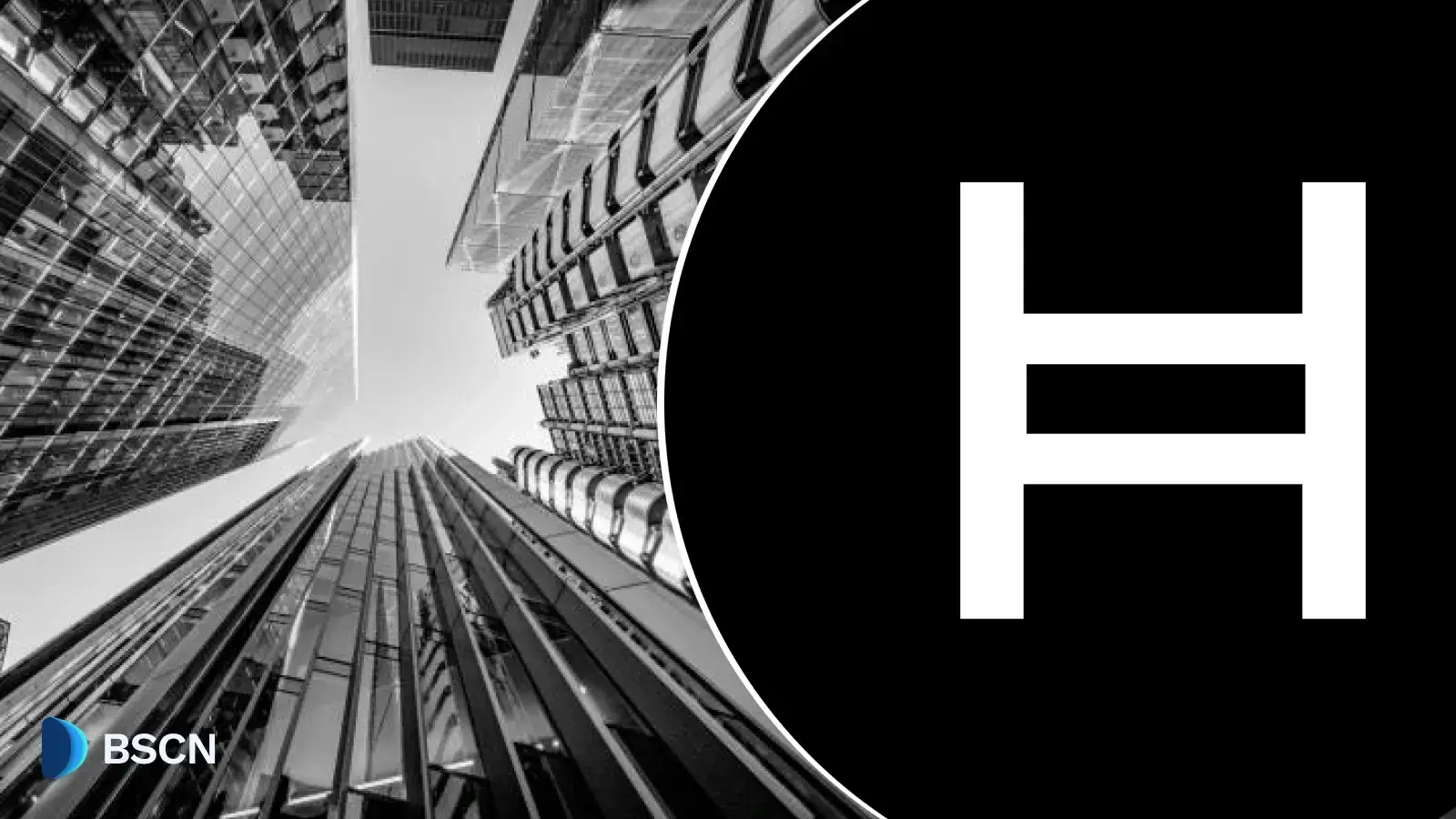 Hedera có những trường hợp sử dụng thực tế nào?