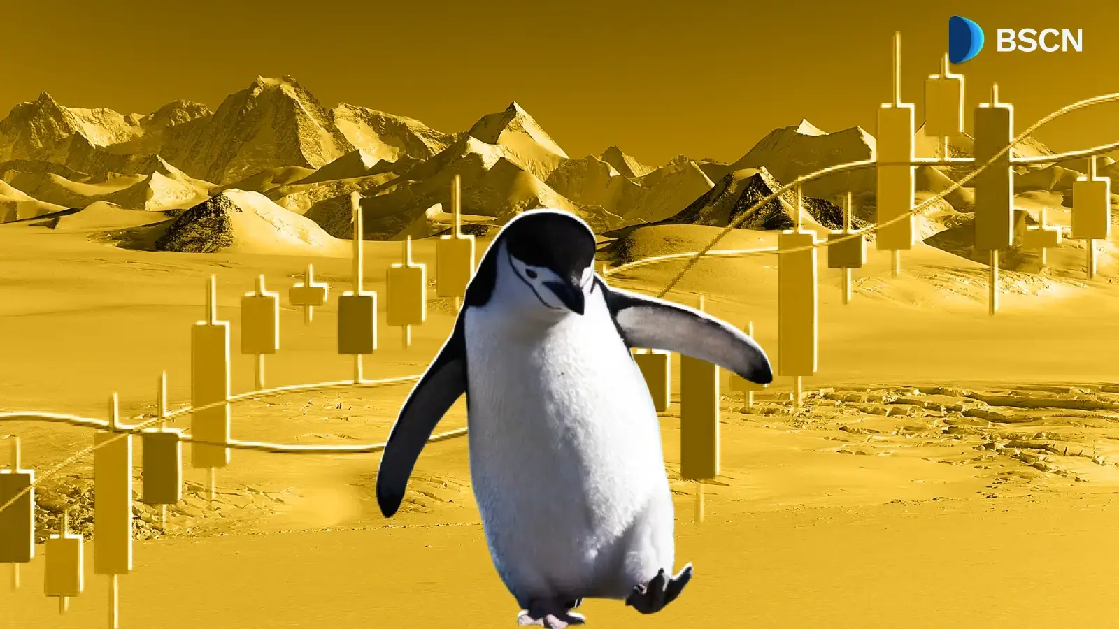 Điều gì đang gây xôn xao về PENGUIN Surge?